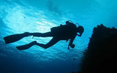 La plongée sous marine : conseils , contre-indications et risques sur votre audition.